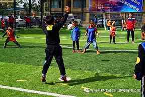 2025U16欧洲杯分级赛事，竞赛水平匹配为何重要？